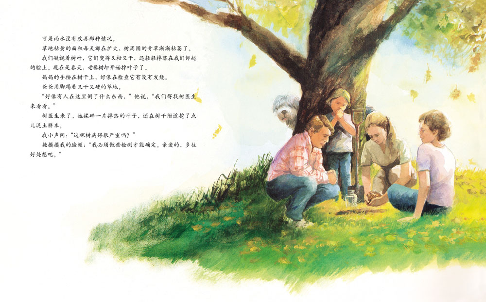 艾莉丝的树 (09),绘本,绘本故事,绘本阅读,故事书,童书,图画书,课外阅读